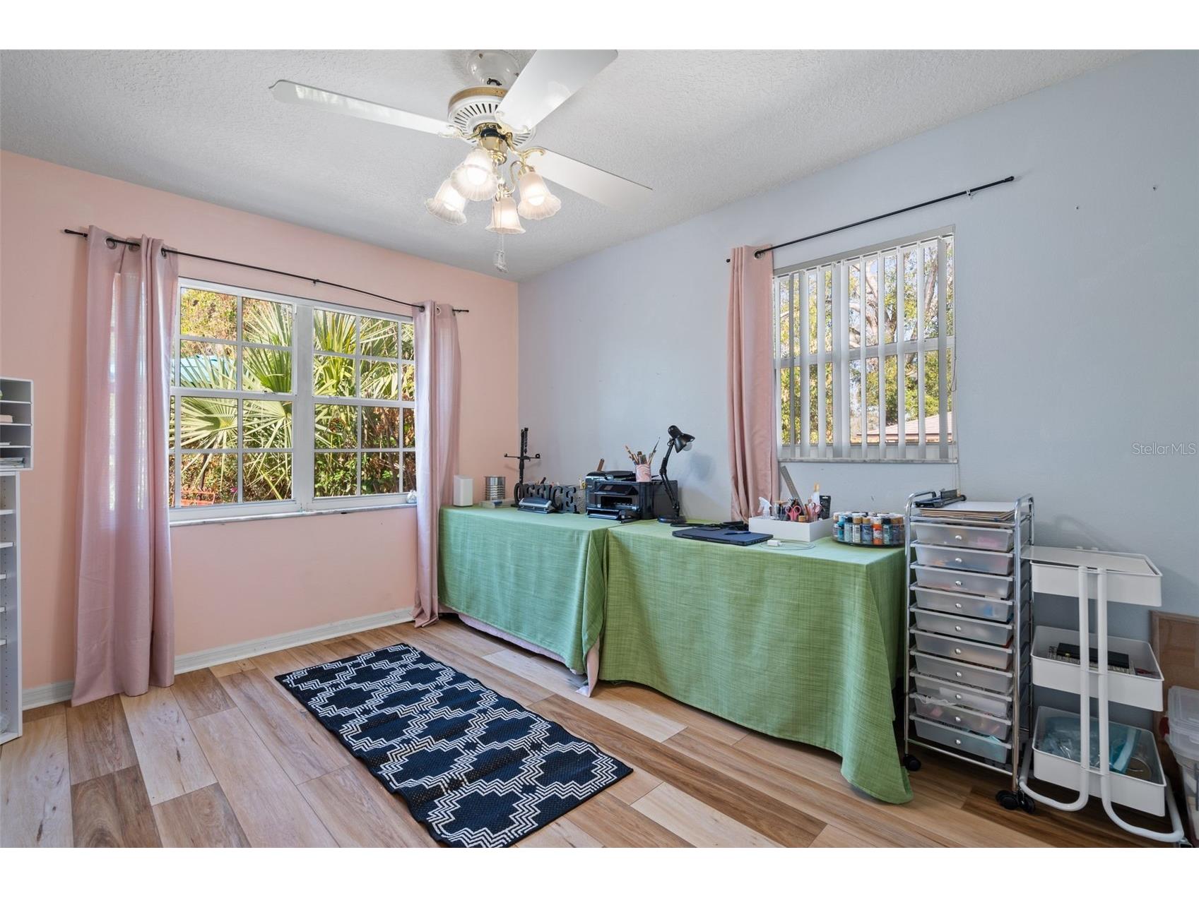 1007 Lantana Drive Eustis FL 32726 O6385181 image11