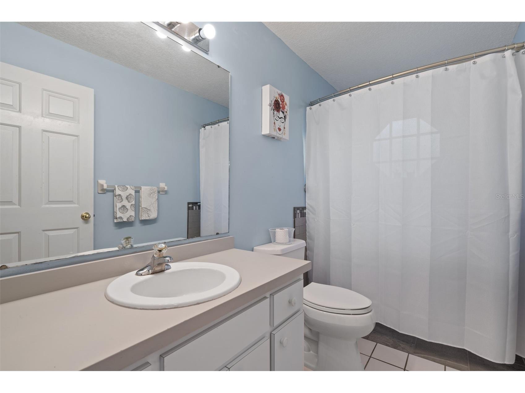 1007 Lantana Drive Eustis FL 32726 O6385181 image13