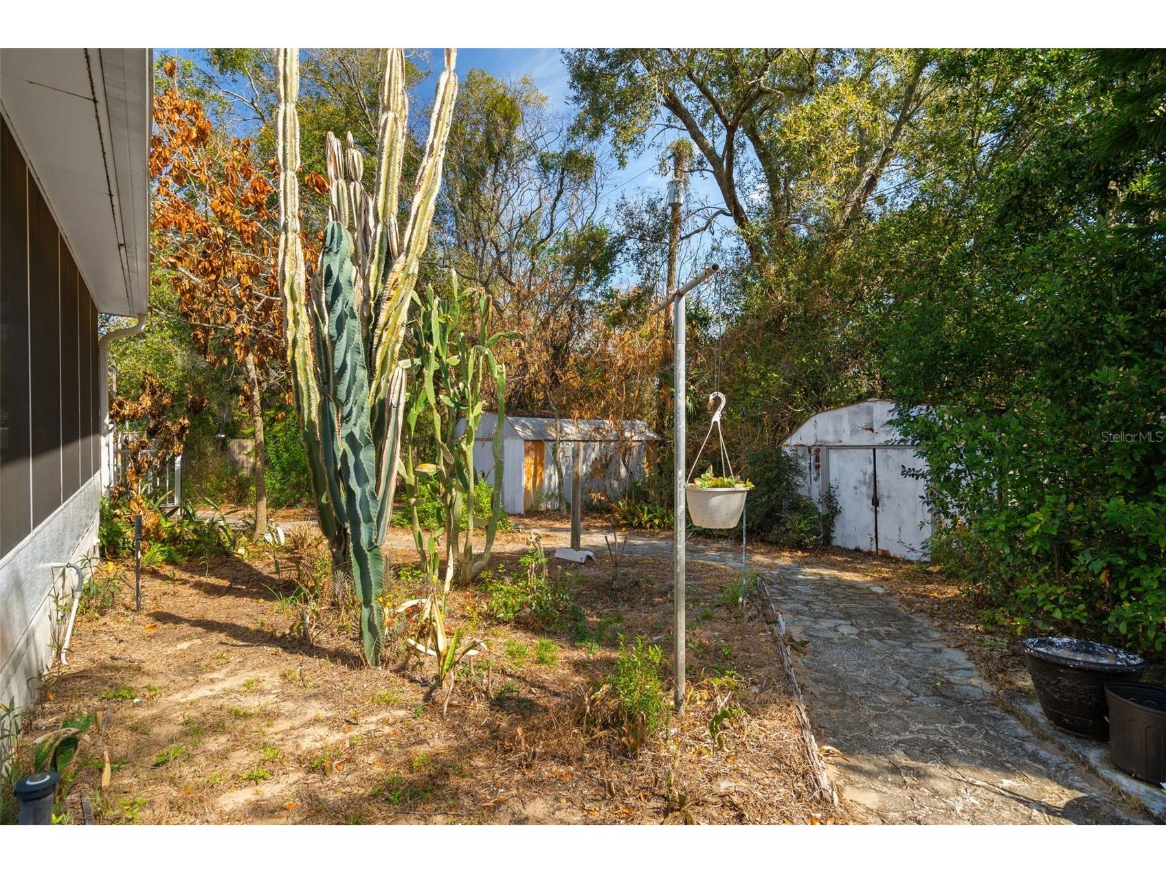 1007 Lantana Drive Eustis FL 32726 O6385181 image19