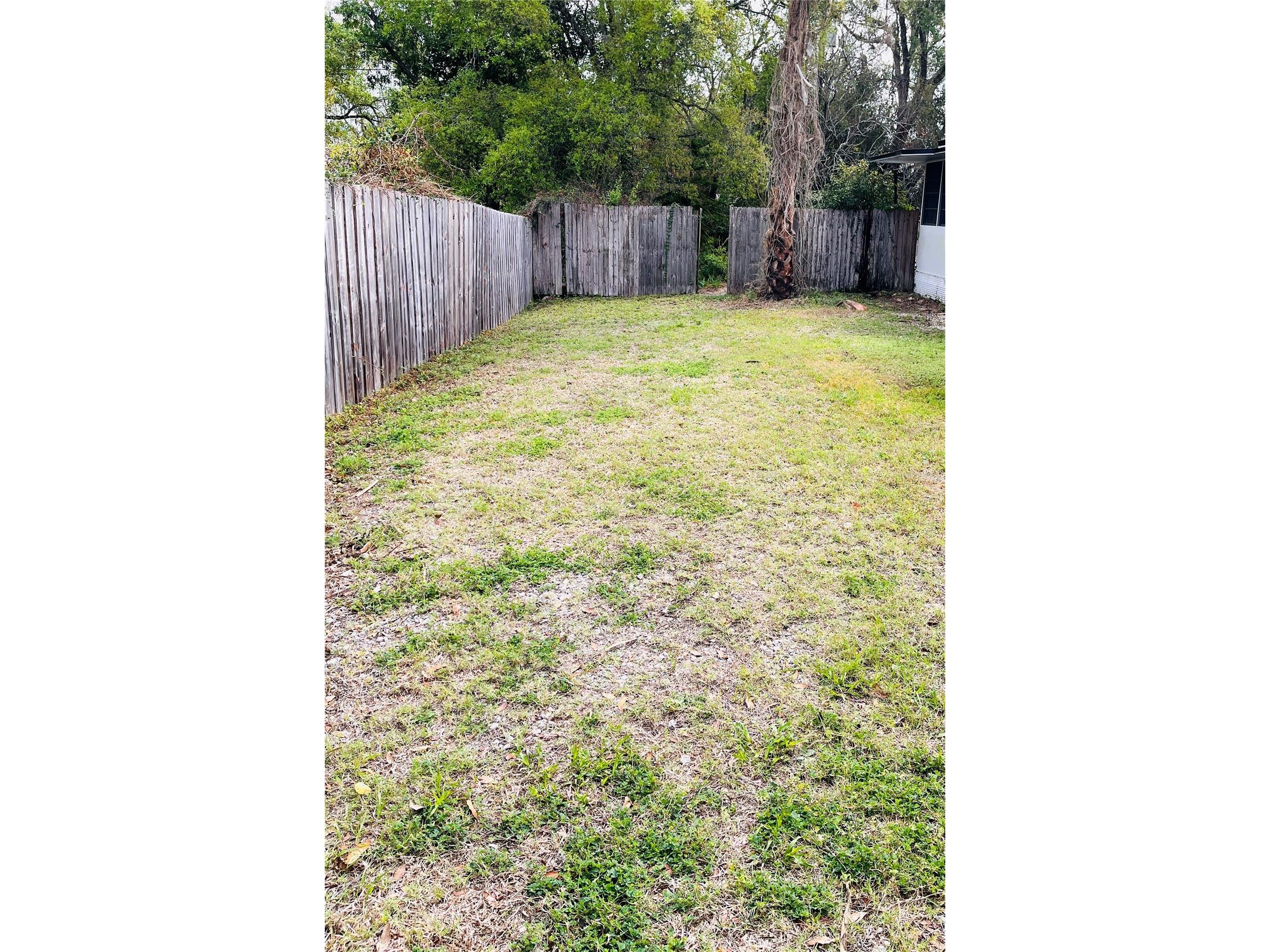 1007 Lantana Drive Eustis FL 32726 O6385181 image22