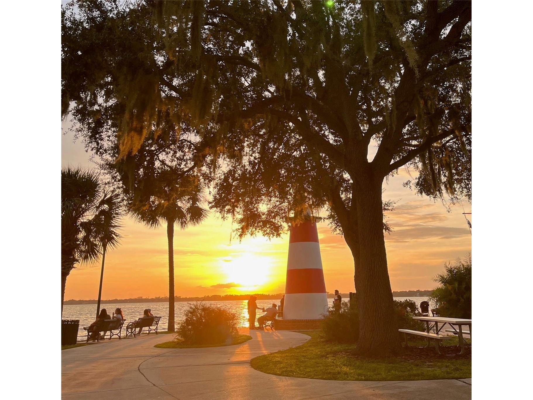 1007 Lantana Drive Eustis FL 32726 O6385181 image25