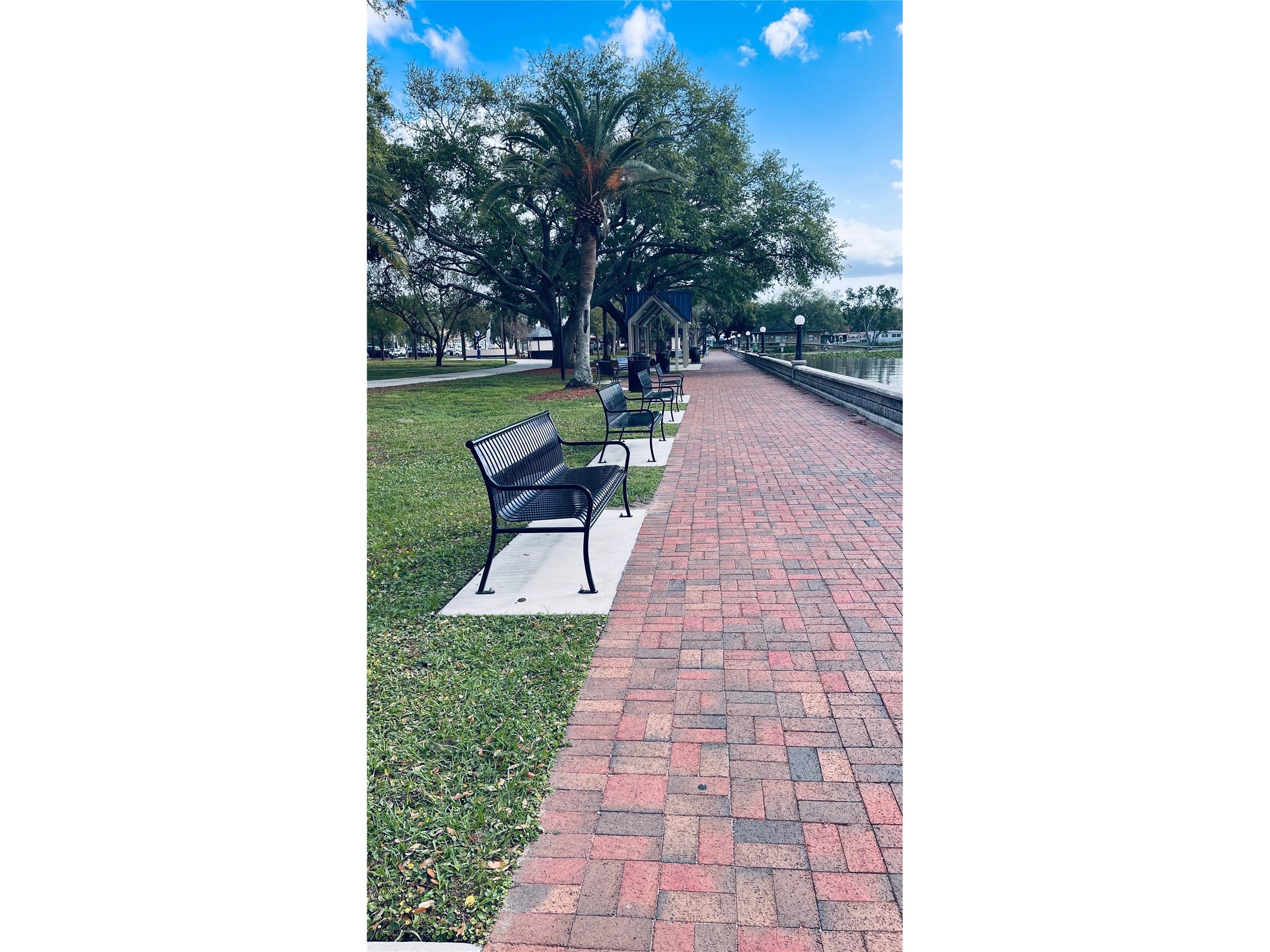 1007 Lantana Drive Eustis FL 32726 O6385181 image28