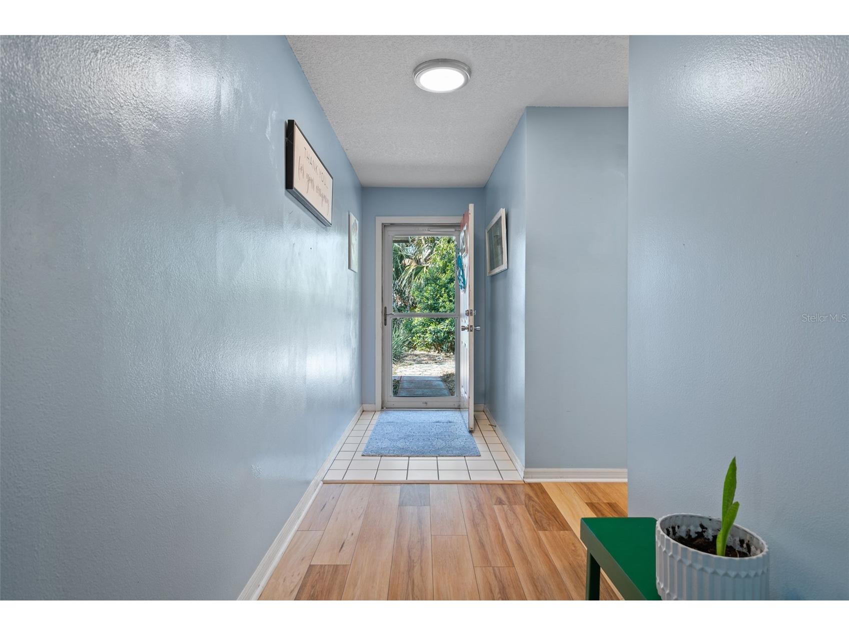 1007 Lantana Drive Eustis FL 32726 O6385181 image3