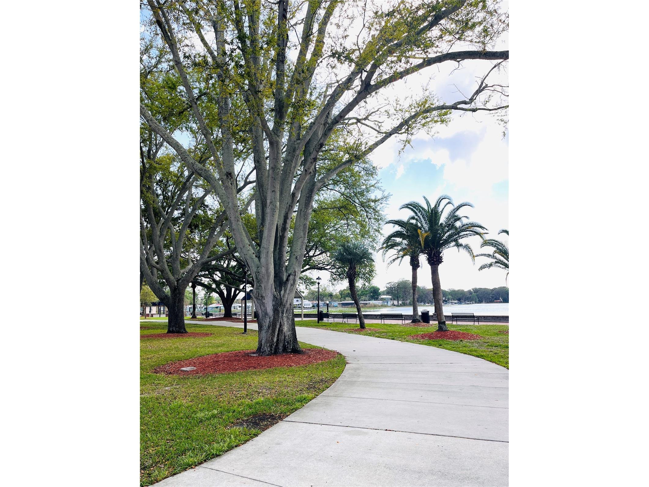 1007 Lantana Drive Eustis FL 32726 O6385181 image30