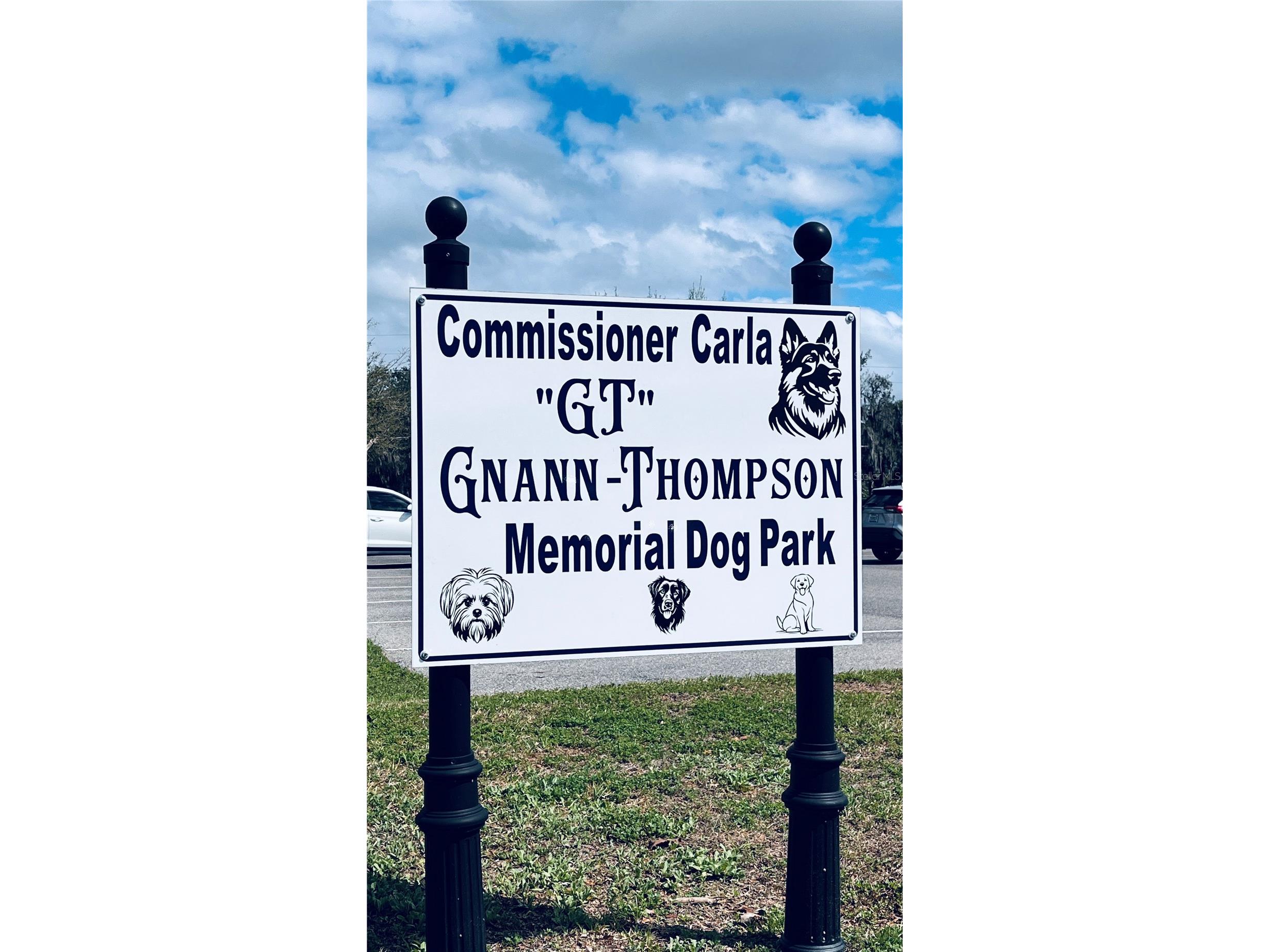 1007 Lantana Drive Eustis FL 32726 O6385181 image32