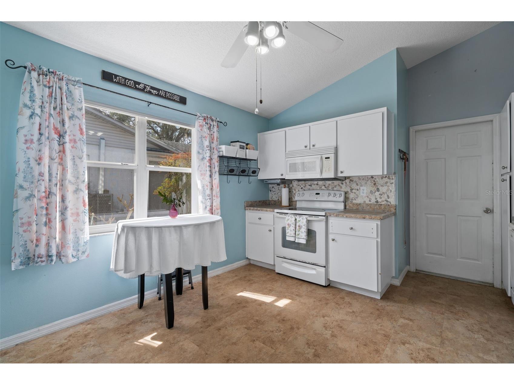 1007 Lantana Drive Eustis FL 32726 O6385181 image8