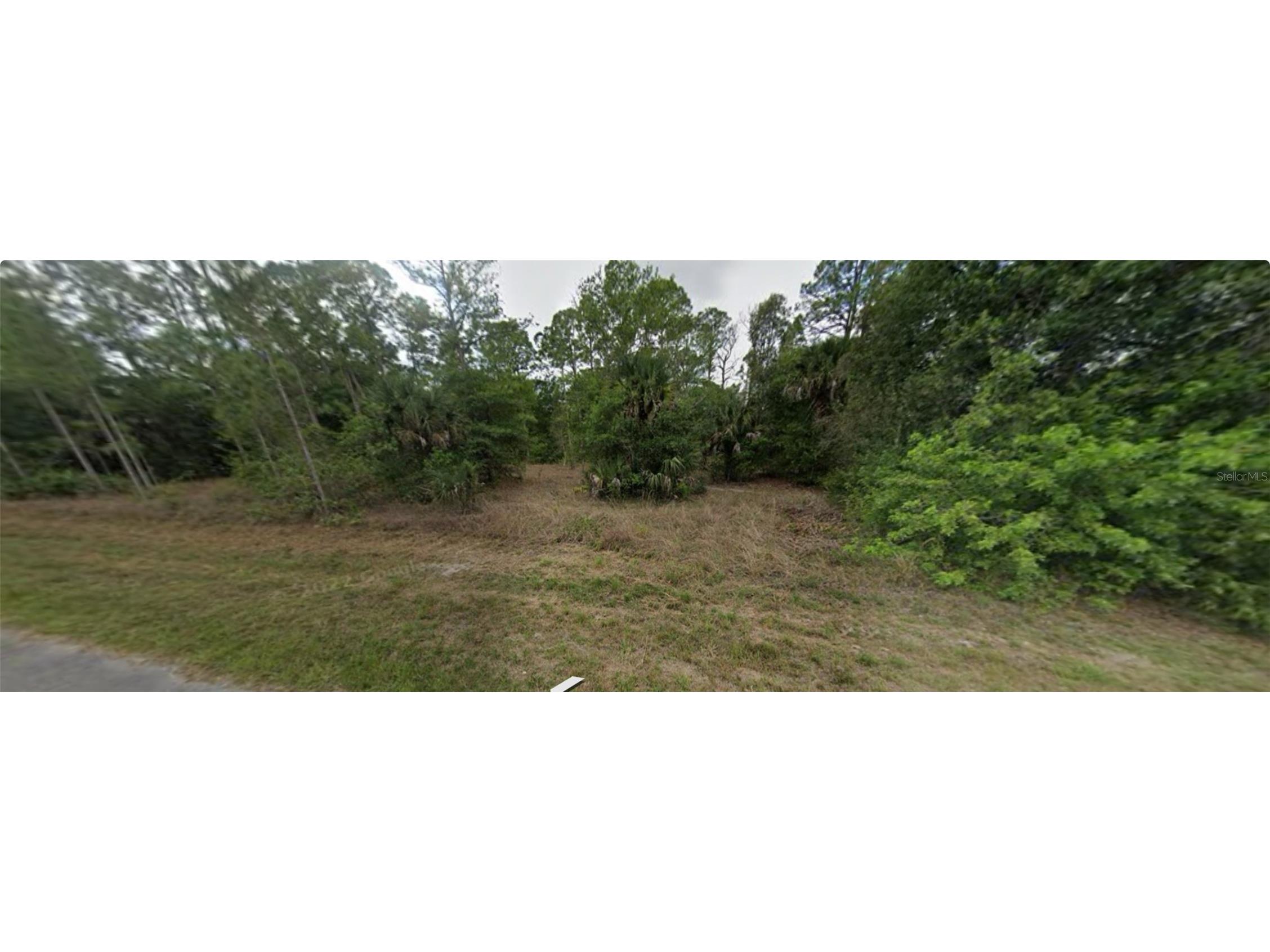 1007 Leroy Avenue Lehigh Acres FL 33972 G5081569 image2