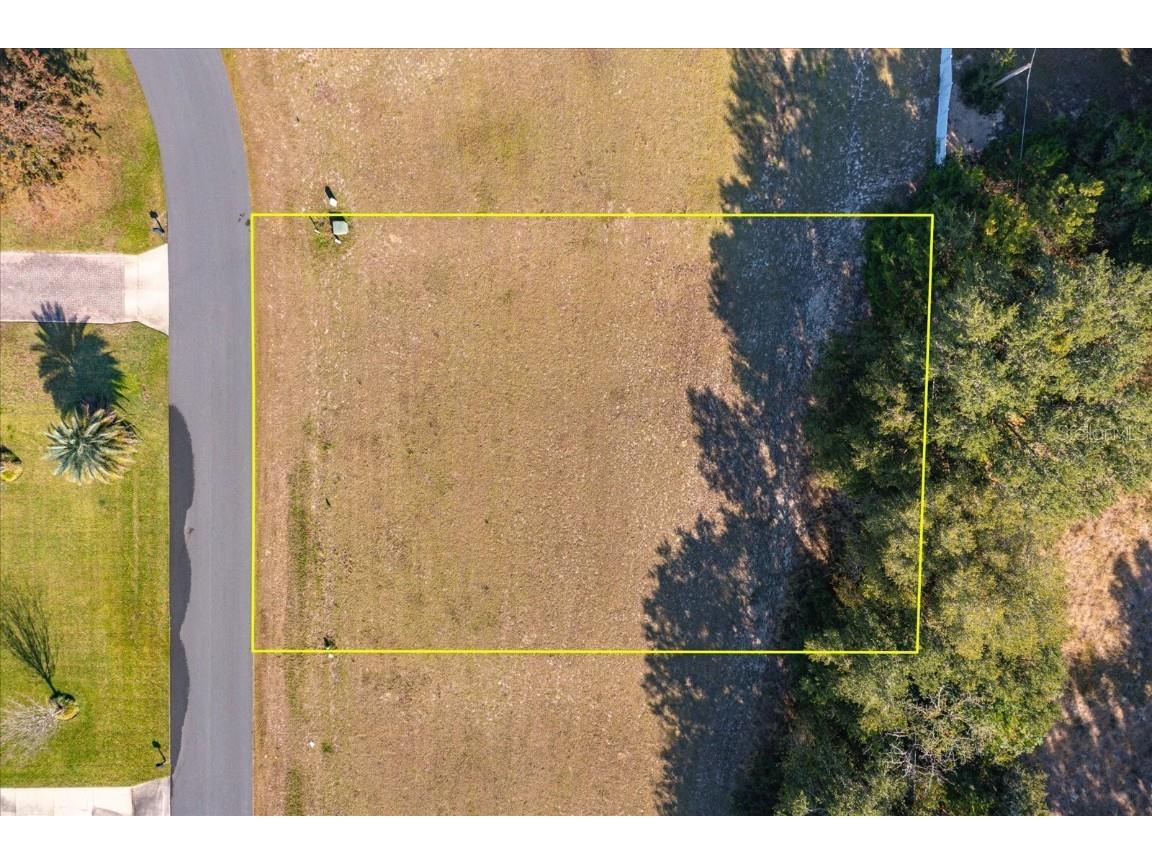 1007 Myrtle Breezes Court Fruitland Park FL 34731 O6364699 image3