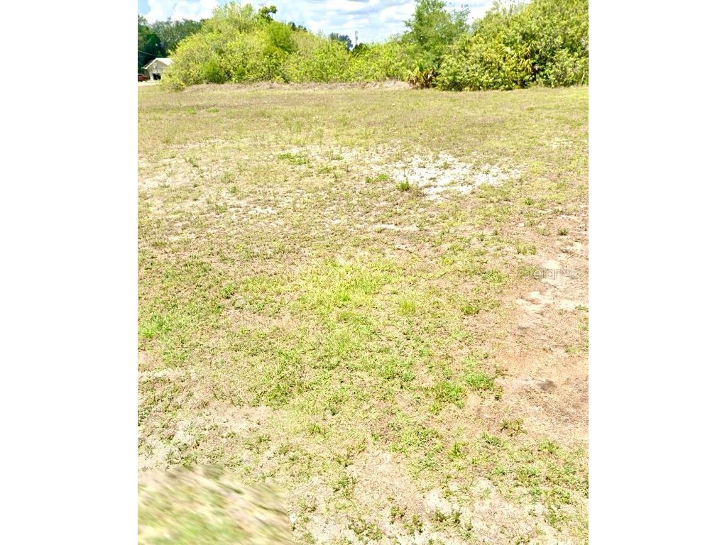 1007 NE 16th Terrace Cape Coral FL 33909 - LAKE MEADE C7489900 image1