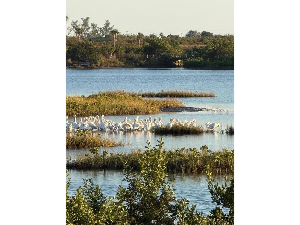 1007 NW 82nd Street Bradenton FL 34209 TB8450767 image49