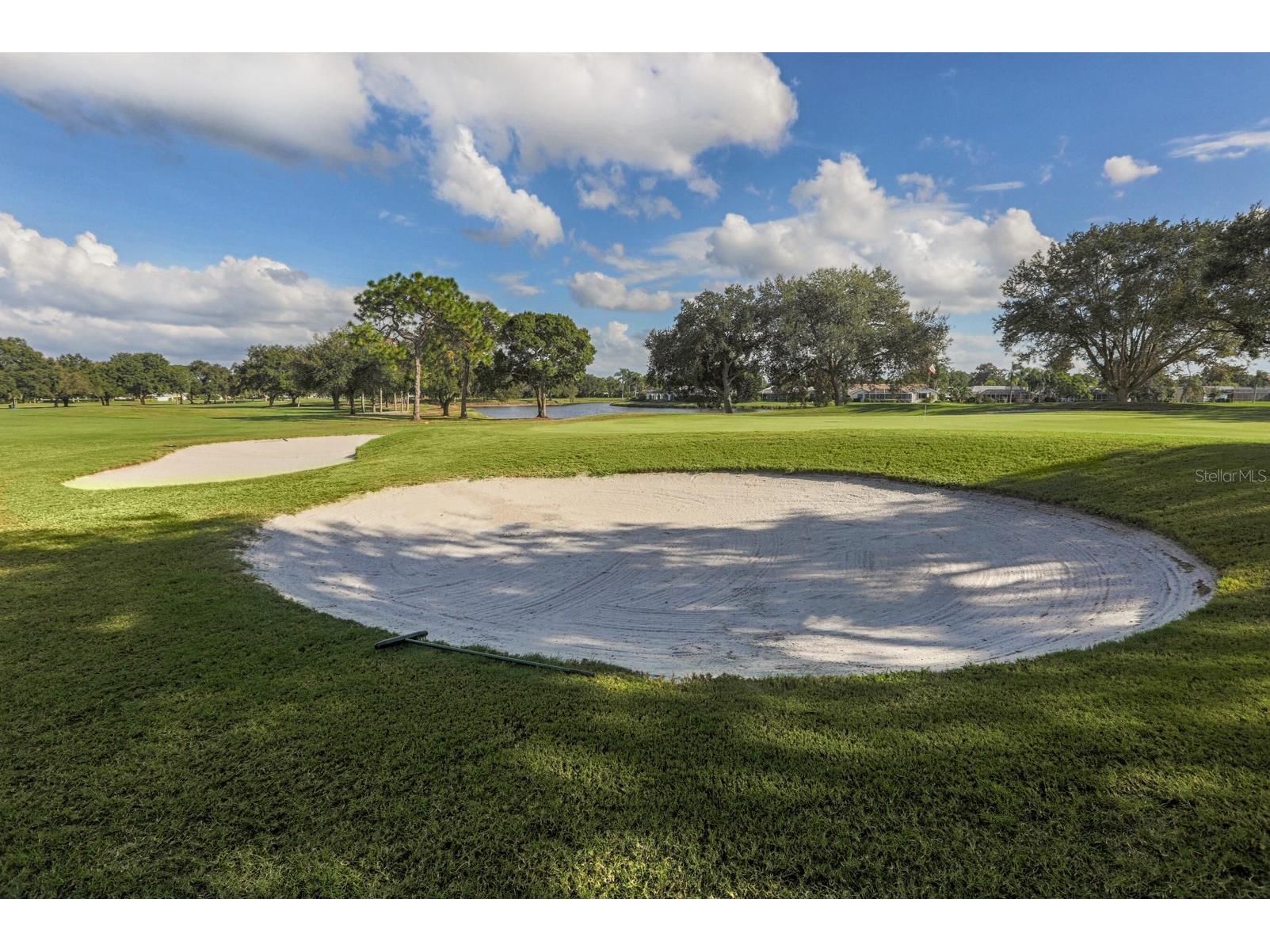 1007 River Oaks Court Venice FL 34293 N6144205 image41