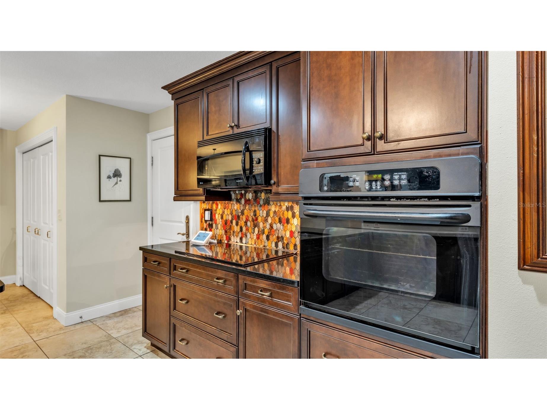 1007 Rolling Woods Lane Lakeland FL 33813 L4959853 image17