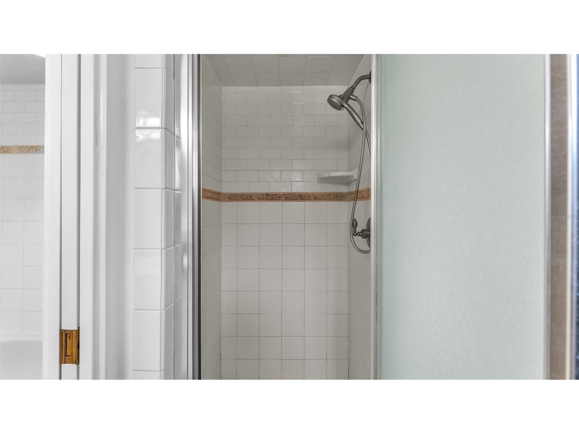 1007 Rolling Woods Lane Lakeland FL 33813 L4959853 image38