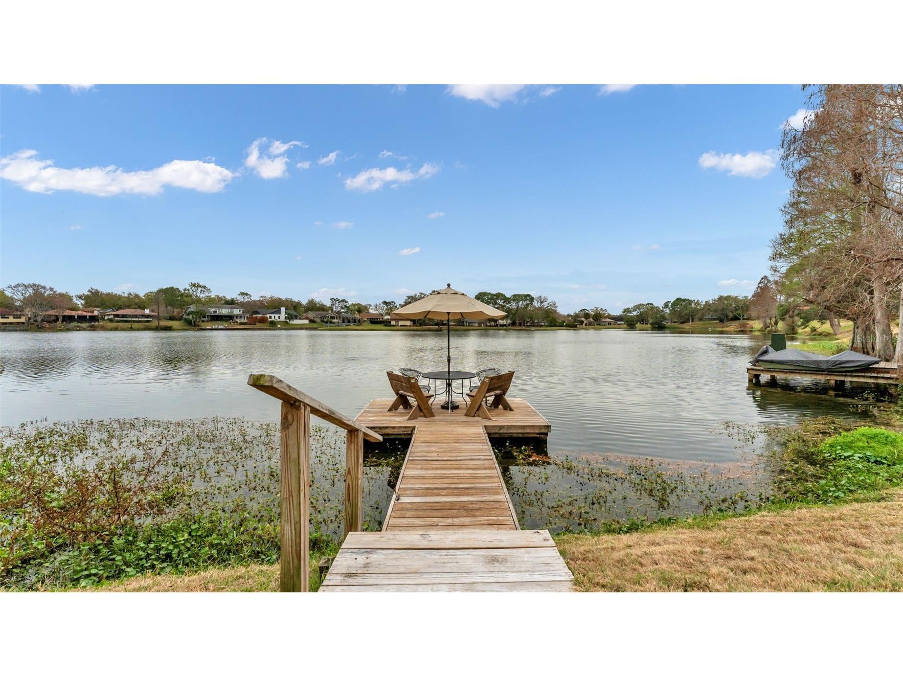 1007 Rolling Woods Lane Lakeland FL 33813 L4959853 image50