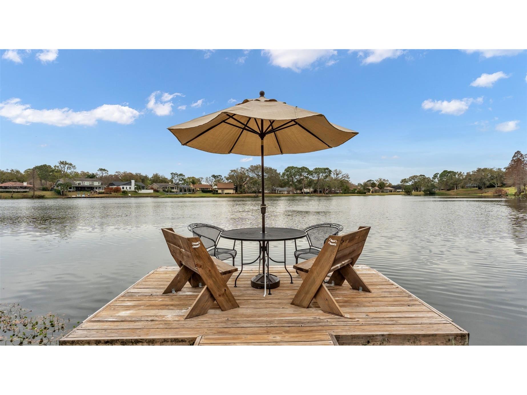 1007 Rolling Woods Lane Lakeland FL 33813 L4959853 image52