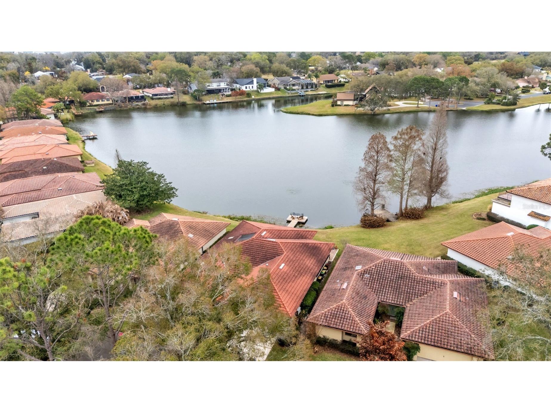 1007 Rolling Woods Lane Lakeland FL 33813 L4959853 image59