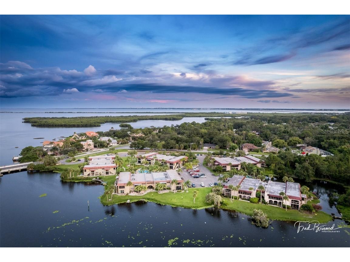 1007 S Bayshore Boulevard #107 Safety Harbor FL 34695 TB8410580 image19