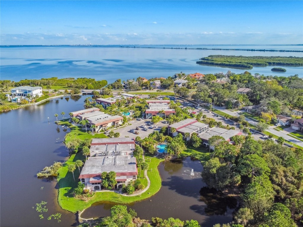 1007 S Bayshore Boulevard #107 Safety Harbor FL 34695 TB8410580 image20