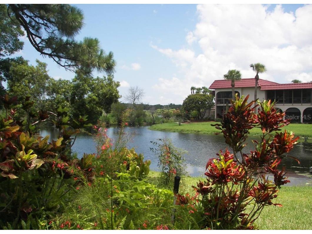 1007 S Bayshore Boulevard #107 Safety Harbor FL 34695 TB8410580 image21