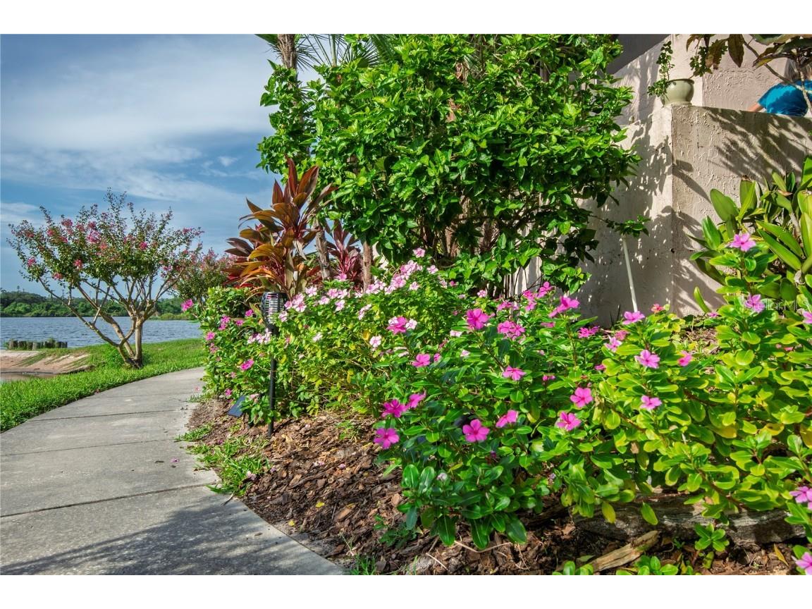 1007 S Bayshore Boulevard #107 Safety Harbor FL 34695 TB8410580 image22