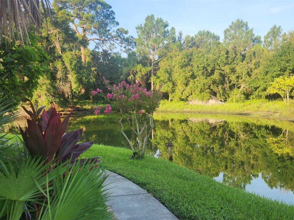 1007 S Bayshore Boulevard #107 Safety Harbor FL 34695 TB8410580 image23