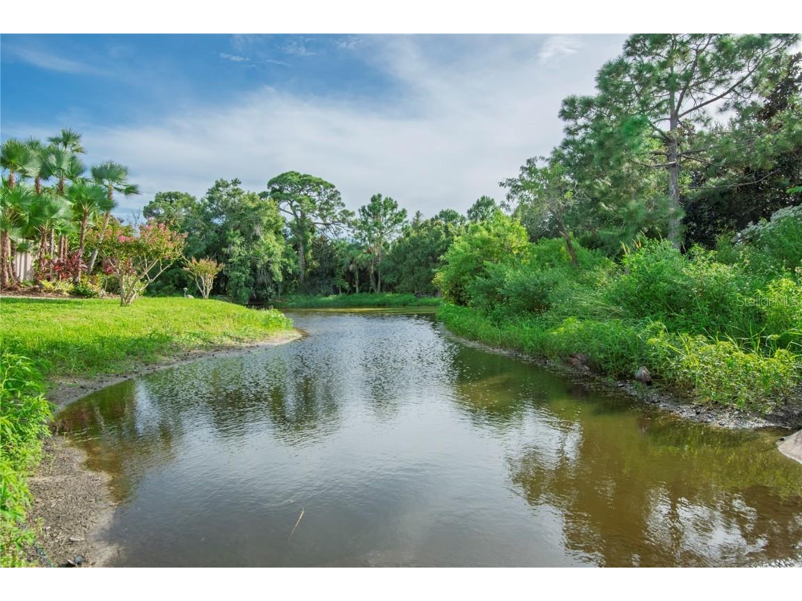 1007 S Bayshore Boulevard #107 Safety Harbor FL 34695 TB8410580 image24