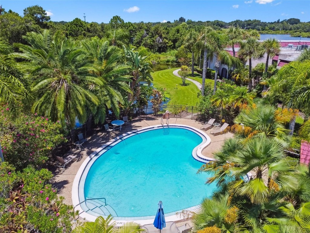 1007 S Bayshore Boulevard #107 Safety Harbor FL 34695 TB8410580 image26