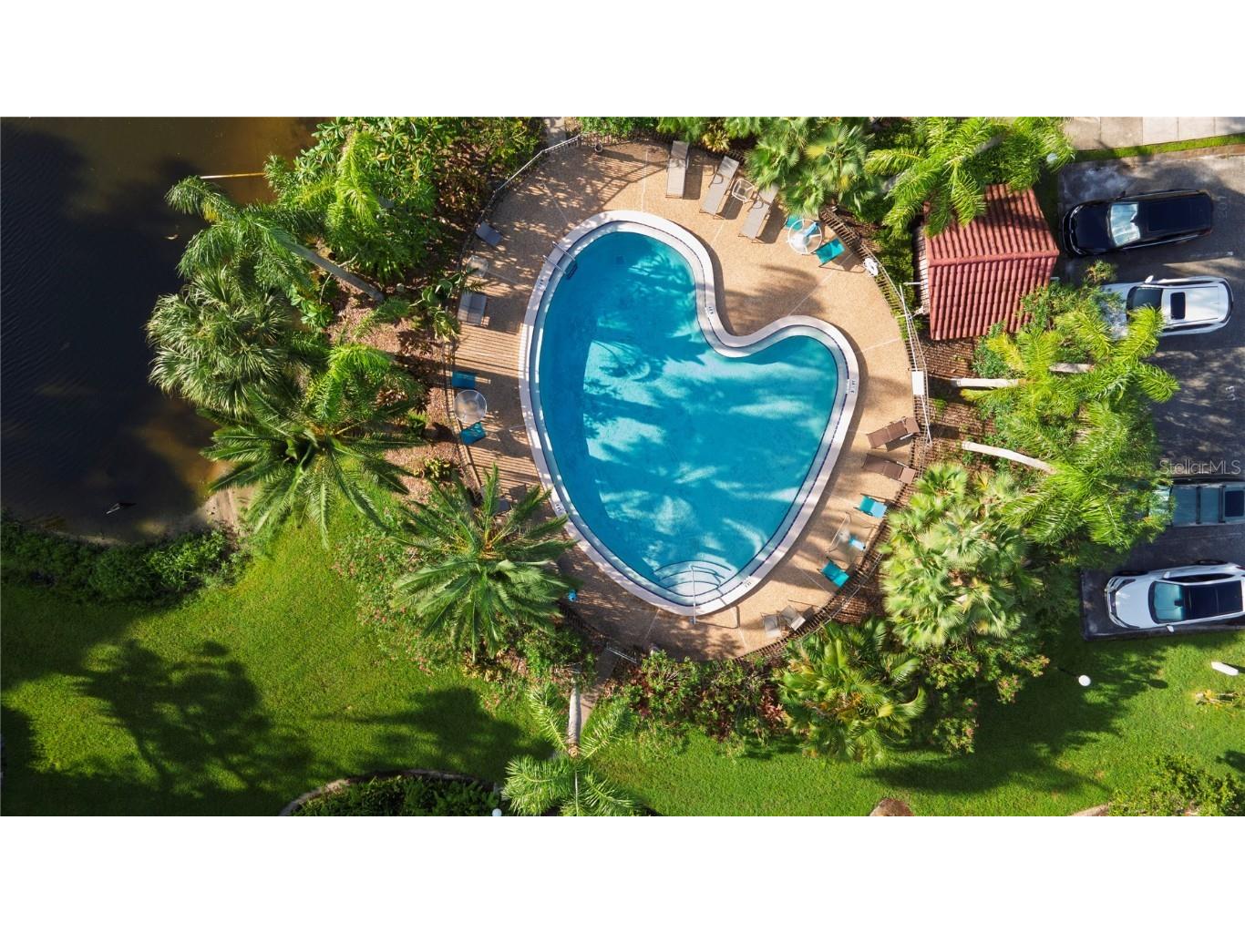 1007 S Bayshore Boulevard #107 Safety Harbor FL 34695 TB8410580 image27