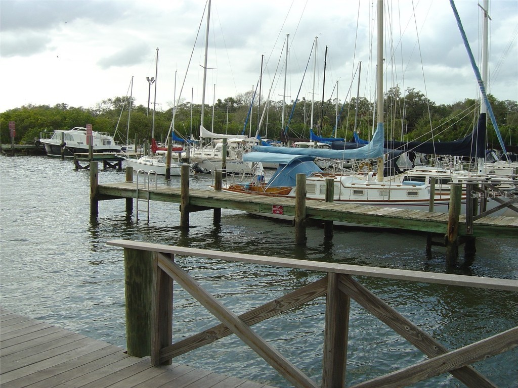 1007 S Bayshore Boulevard #107 Safety Harbor FL 34695 TB8410580 image29