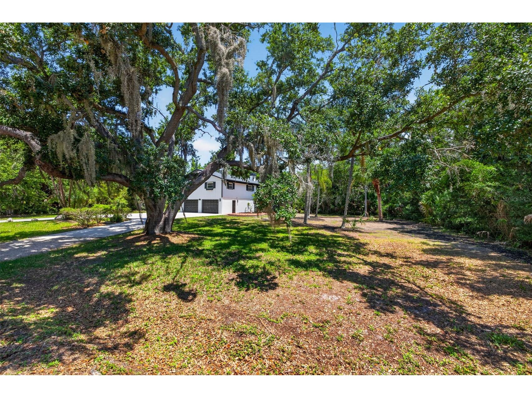 1007 State Street E Oldsmar FL 34677 TB8513144 image4