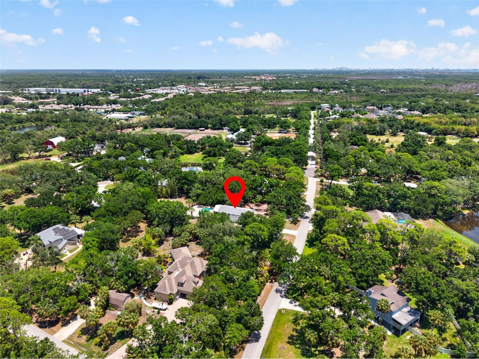 1007 State Street E Oldsmar FL 34677 TB8513144 image58