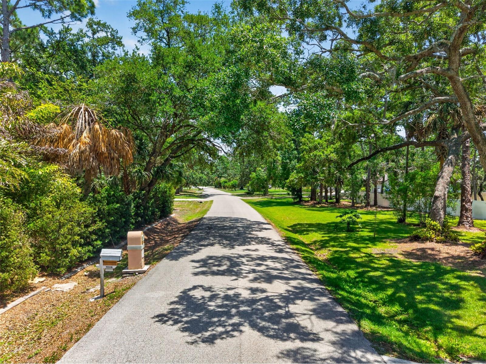 1007 State Street E Oldsmar FL 34677 TB8513144 image61