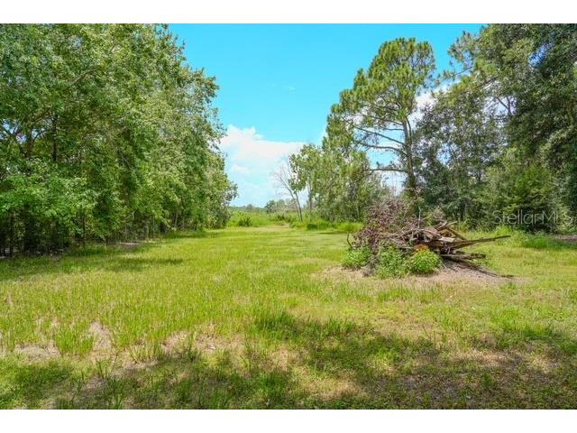 1007 Victoria Lane Lakeland FL 33809 TB8413505 image36