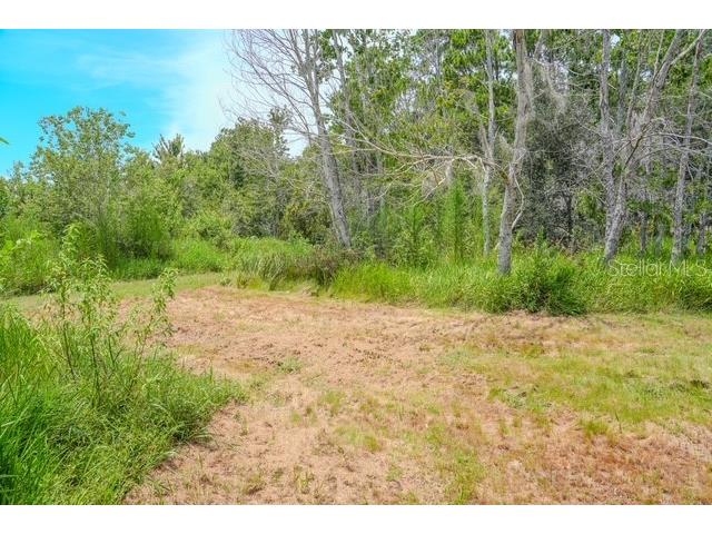 1007 Victoria Lane Lakeland FL 33809 TB8413505 image40