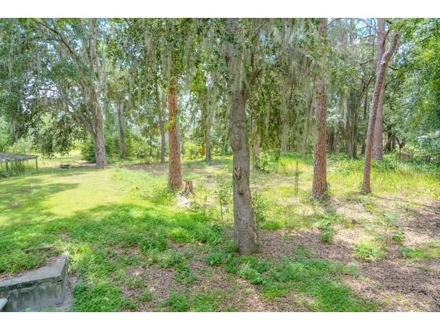 1007 Victoria Lane Lakeland FL 33809 TB8413505 image44