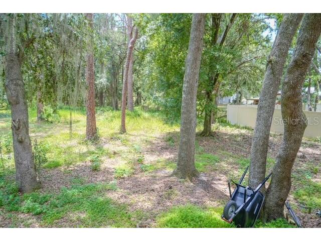 1007 Victoria Lane Lakeland FL 33809 TB8413505 image45