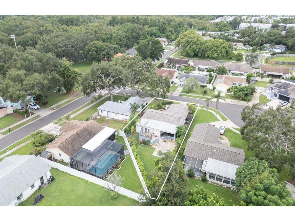 1007 Vineyard Court Dunedin FL 34698 TB8429525 image47