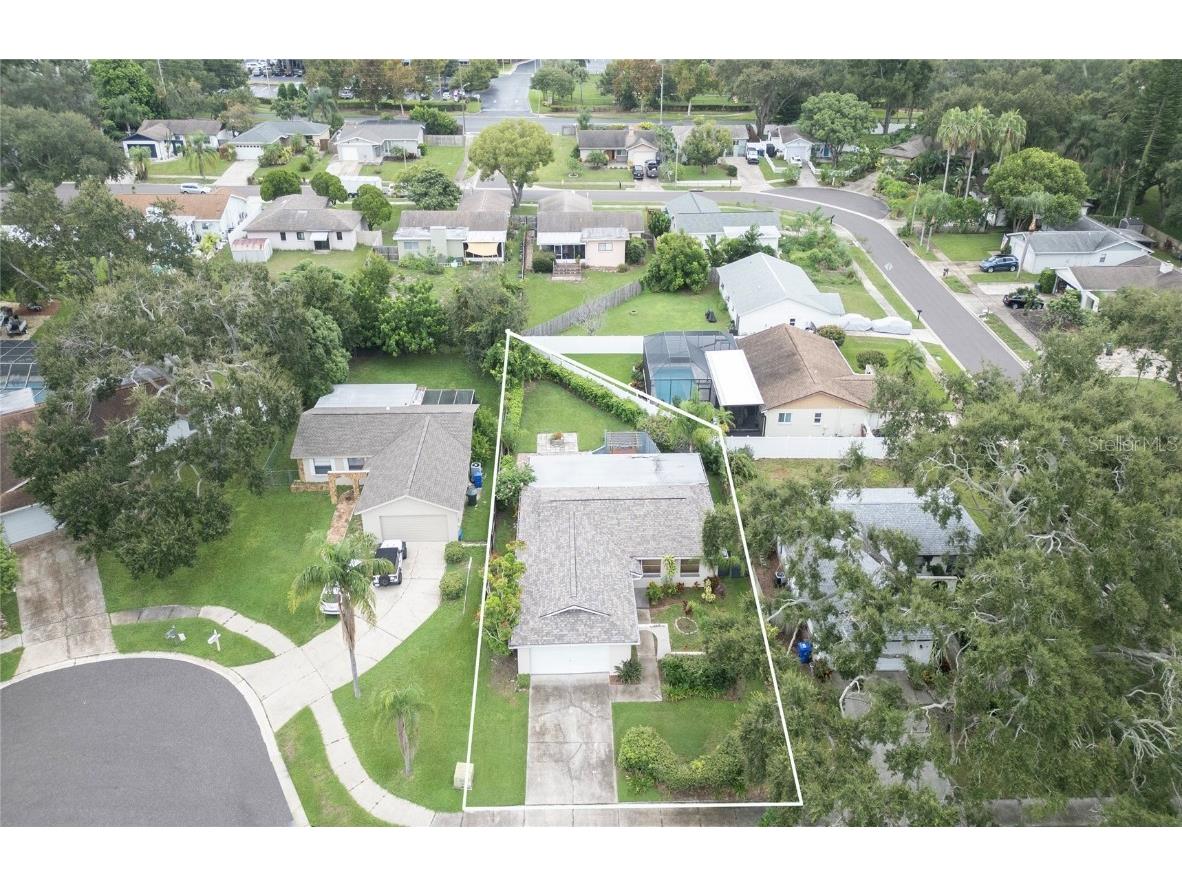 1007 Vineyard Court Dunedin FL 34698 TB8429525 image50