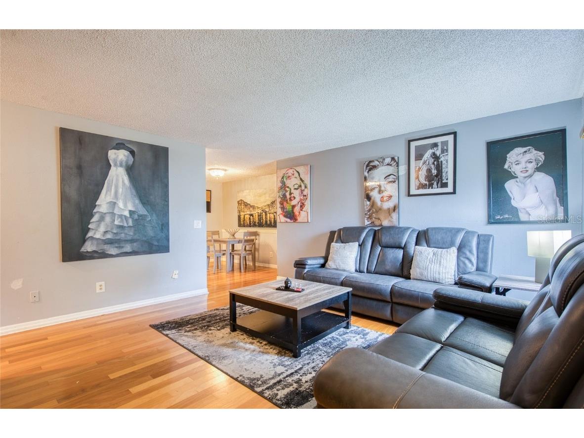 1007 Vineyard Court Dunedin FL 34698 TB8429525 image6