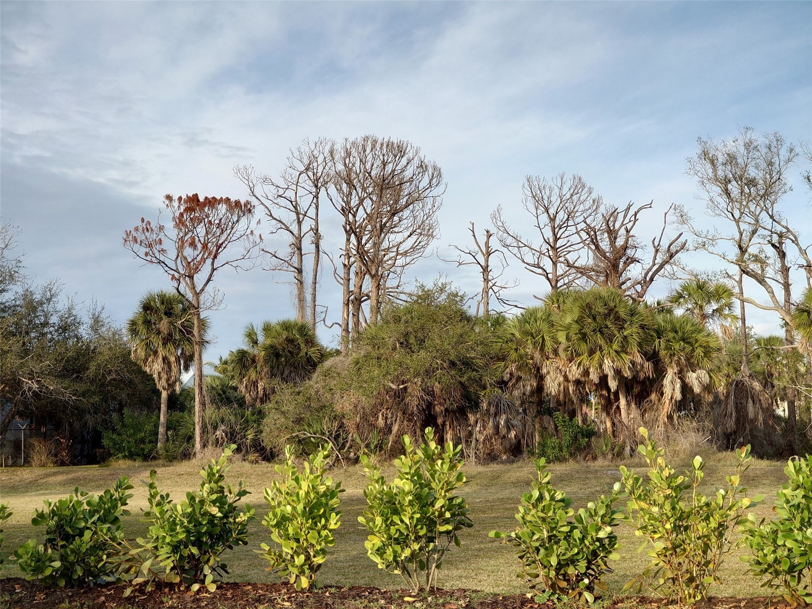 10071 Creekside Drive Placida FL 33946 A4676764 image14