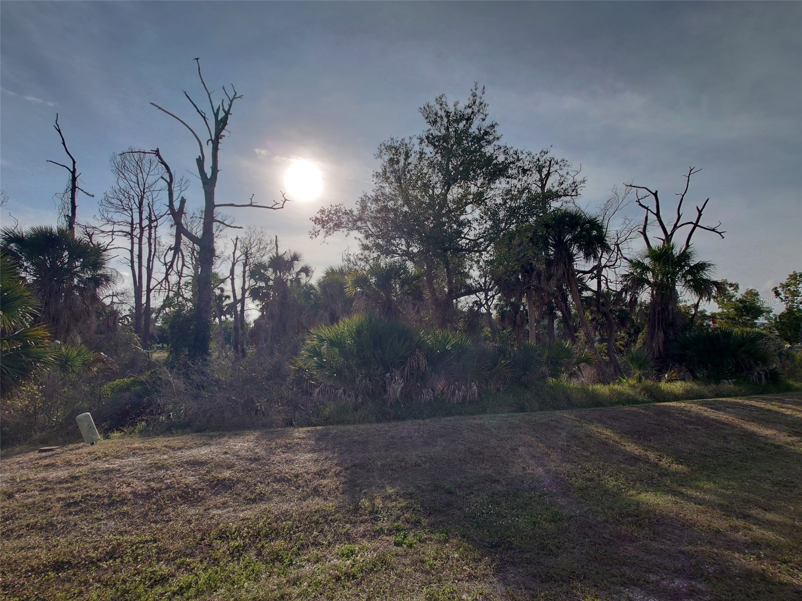 10071 Creekside Drive Placida FL 33946 A4676764 image16