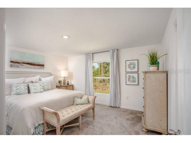 10072 N Conrad Point Citrus Springs FL 34434 O6381908 image11