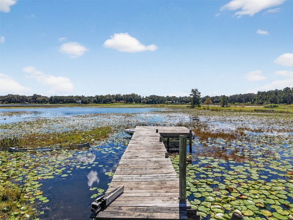 10072 SE 139th Place Summerfield FL 34491 OM710399 image14