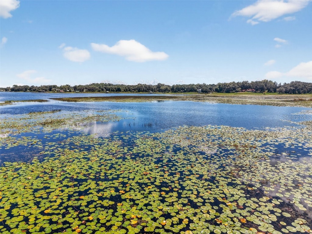 10072 SE 139th Place Summerfield FL 34491 OM710399 image15