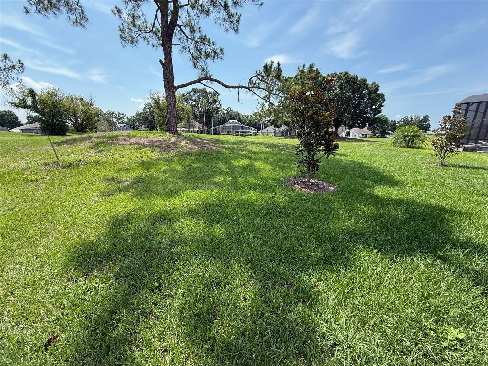 10073 Spring Lake Drive Clermont FL 34711 O6423343 image28