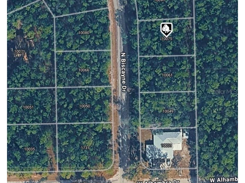 10075 N Biscayne Drive Citrus Springs FL 34434 OM718791 image1