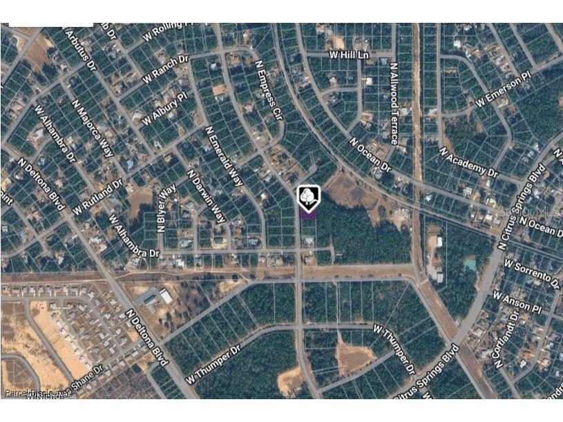 10075 N Biscayne Drive Citrus Springs FL 34434 OM718791 image4
