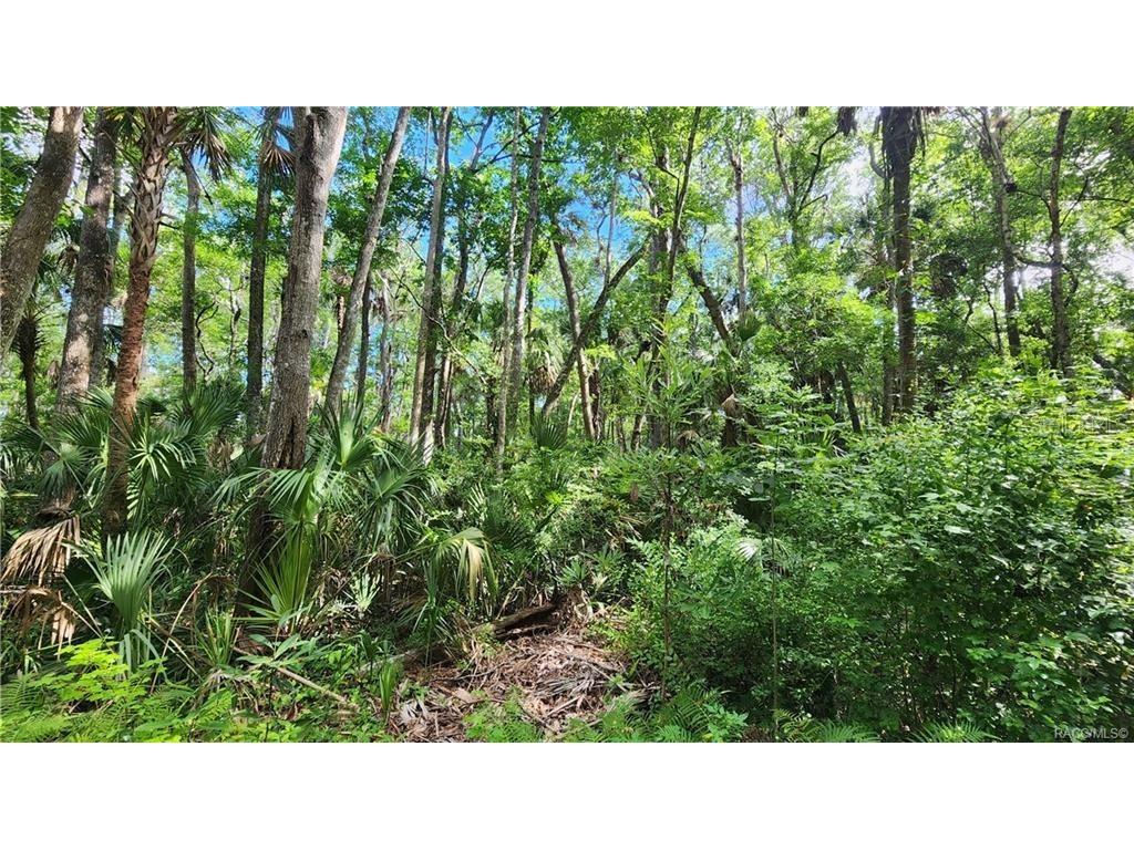 10078 W Virginia Street Homosassa FL 34448 U8223537 image1