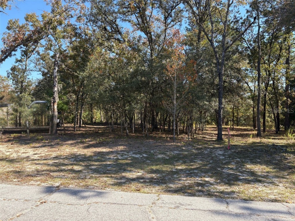 10079 N Ruth Terrace Citrus Springs FL 34434 OM713875 image1