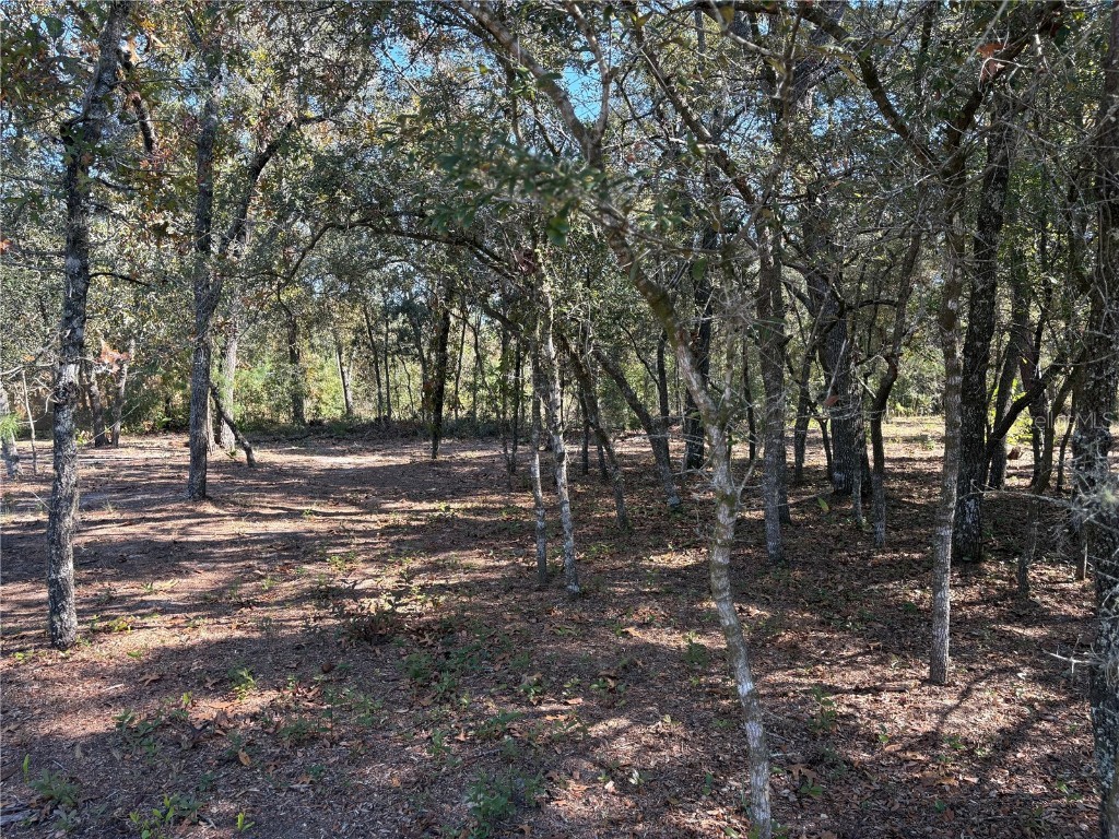 10079 N Ruth Terrace Citrus Springs FL 34434 OM713875 image2